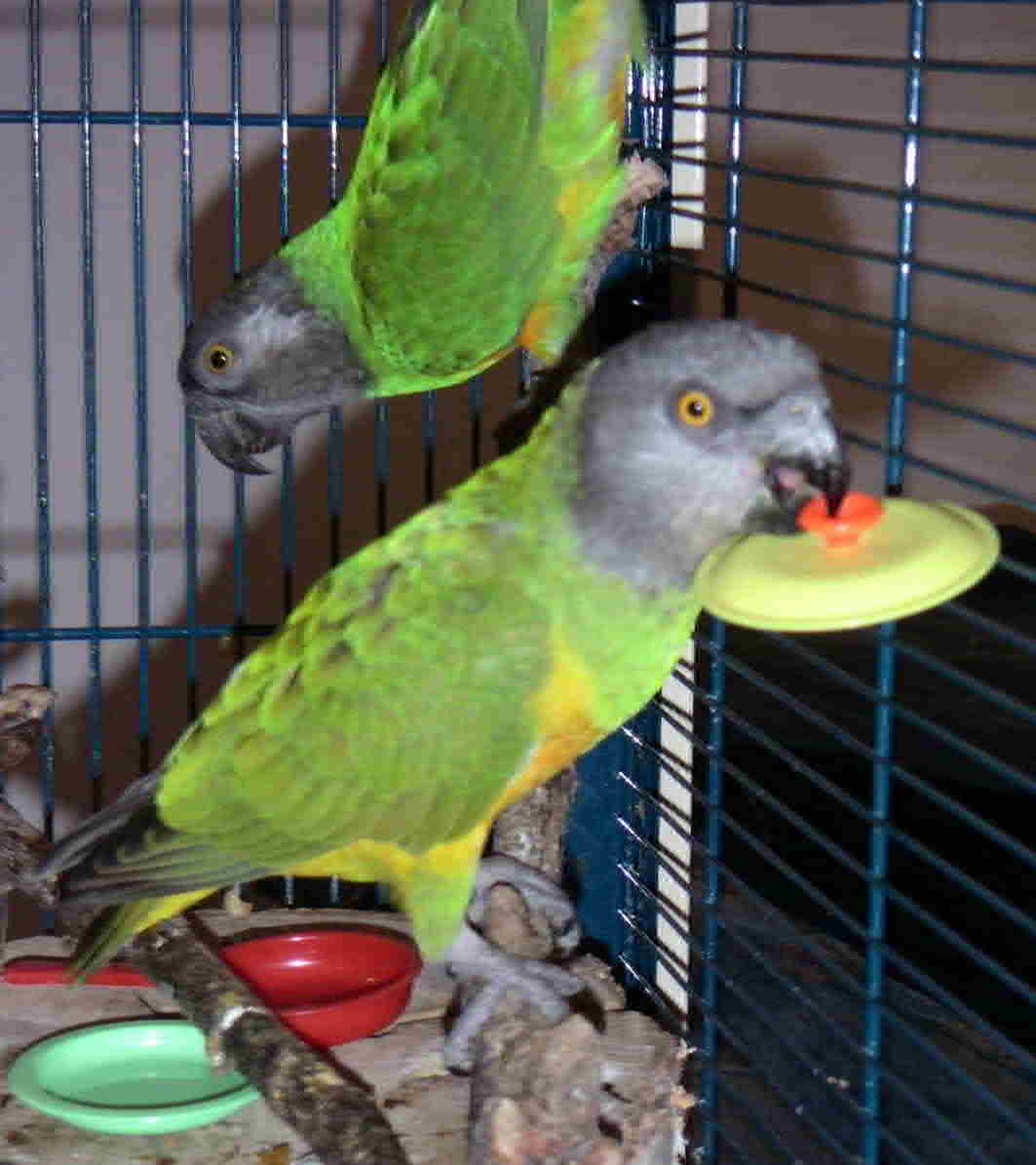 a table!  -  j'arrive!.JPG