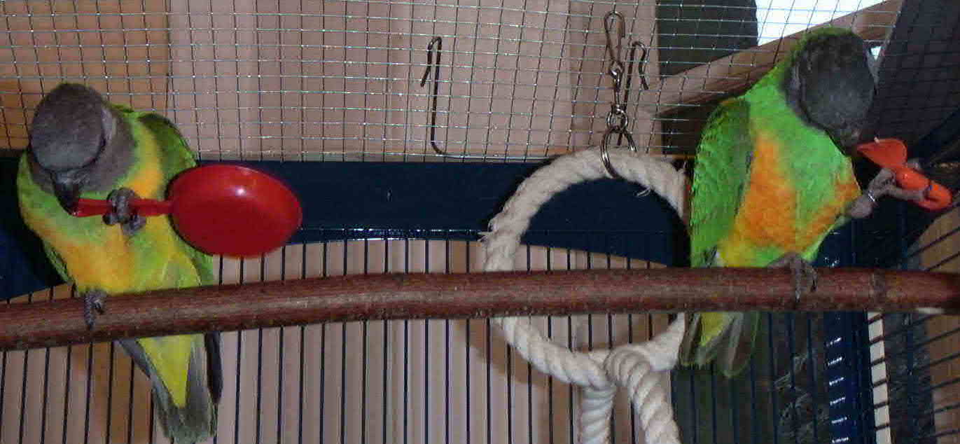 chacun dans son coin2.JPG