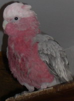 DSCN0023.jpg