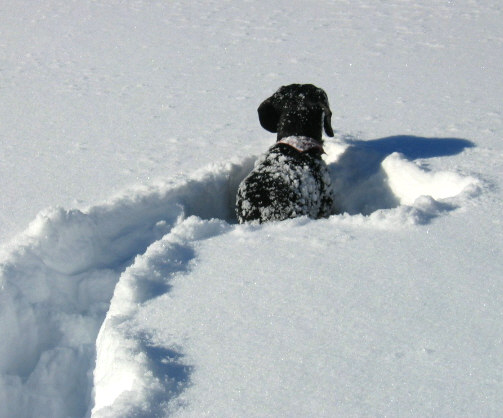 pb neige cinq.jpg