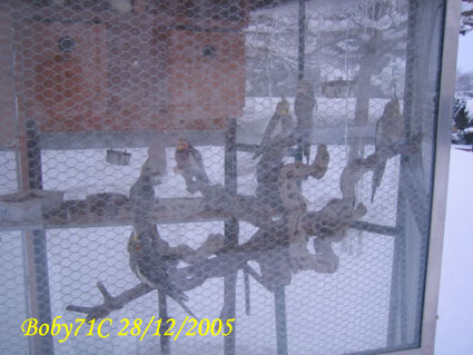 Hiver2005-12-28-02.jpg