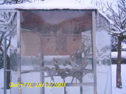 Hiver2005-12-28-01.jpg