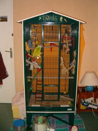 Boris dehors 005.jpg