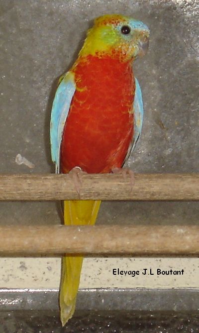 Photobobo 080.jpg