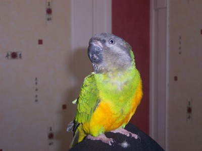 000_0042.JPG