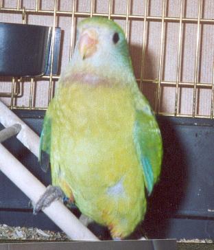 PLUME05.jpg