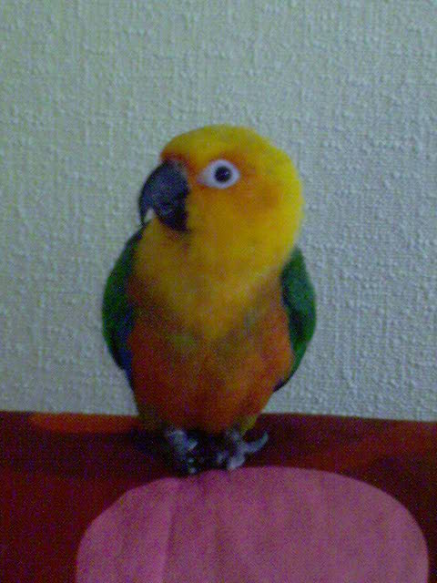 DSC00008.JPG