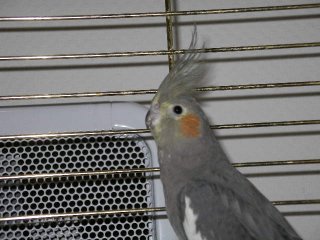 2006-01-31 016-1.JPG