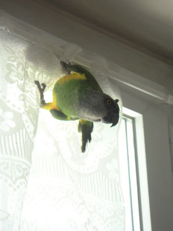 moi chÃ© manuel.JPG