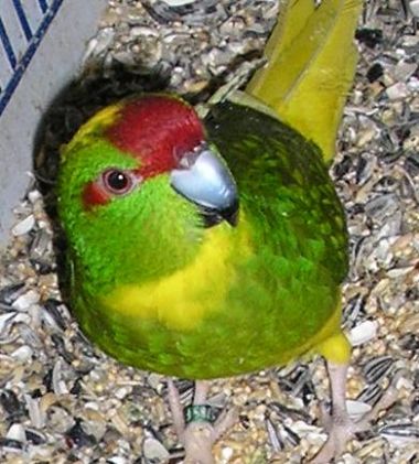 14 01 2006 141.jpg