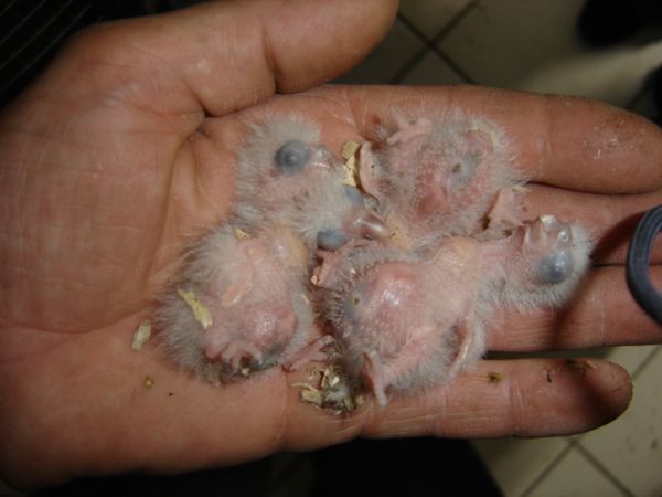 youyou cpl 1 21-04-06 002.jpg