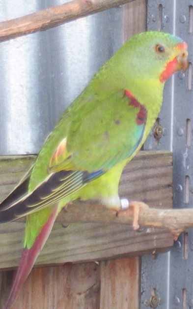 100_0548A.jpg