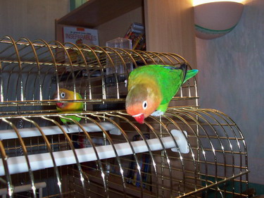 000_0045.JPG