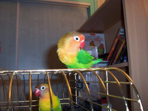 000_0047.jpg