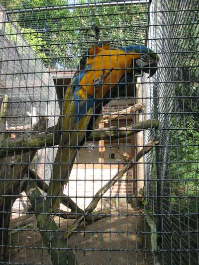 beauval 030.jpg