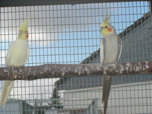 DSC00165.3.jpg