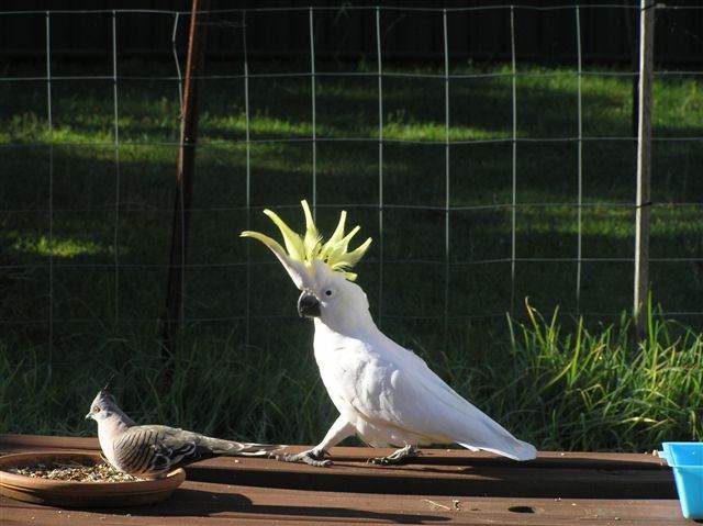 my pictures 366.jpg