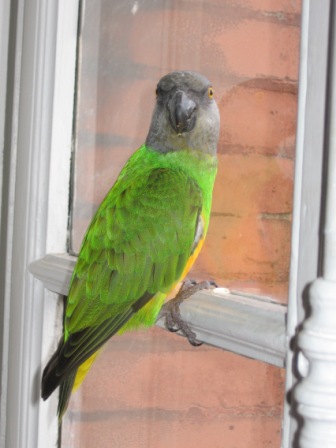 Copie de IMG_1907.jpg