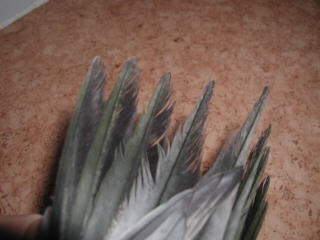 P1010004.jpg
