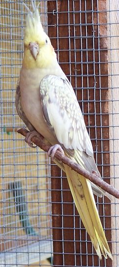 100_1697.jpg