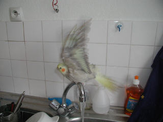 P1010001.jpg