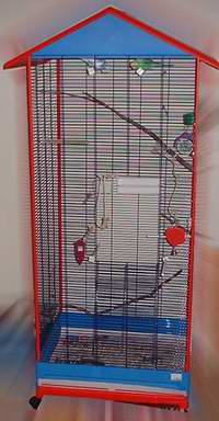 cage2.jpg