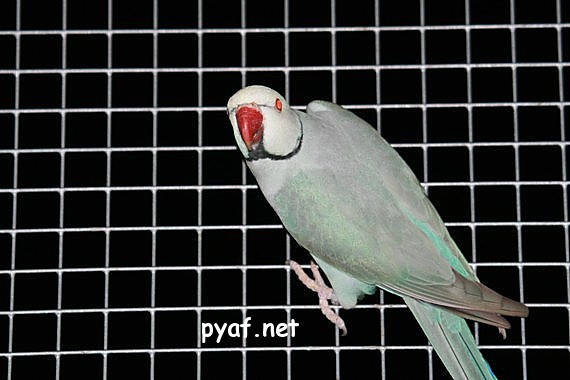 Photo 435.jpg