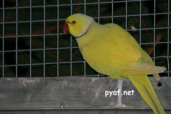 Photo 427.jpg