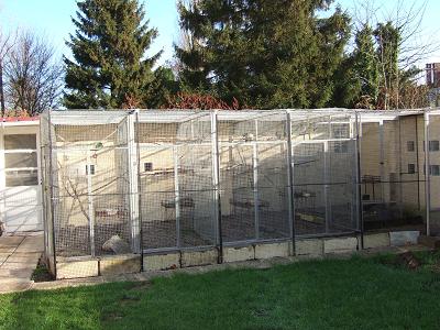 2006_1210volieres0013.JPG