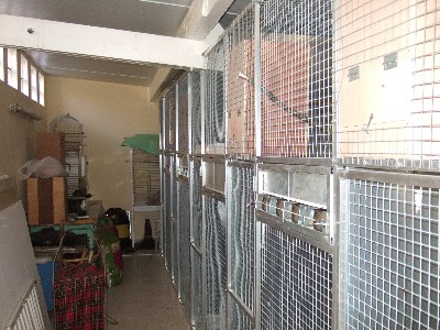 2006_1210volieres0018.JPG