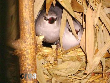 PICT0104.JPG