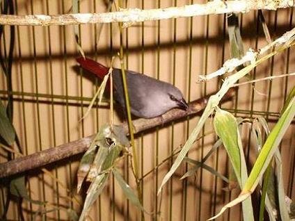 PICT0133.JPG