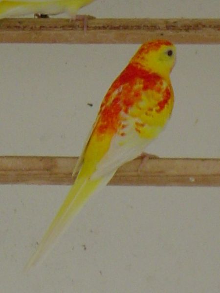 DSC01381.jpg