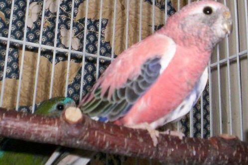 100_0141.jpg