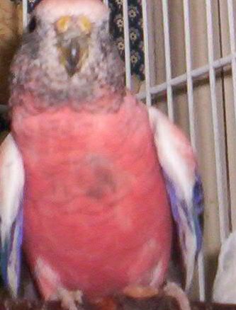 100_0137.jpg