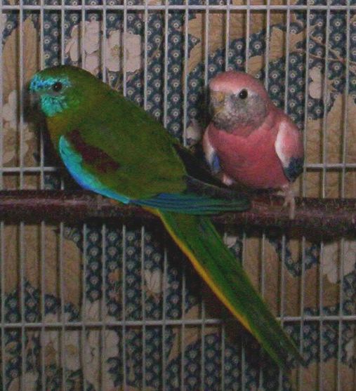 100_0135.jpg