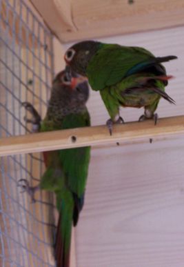 100_1832.jpg