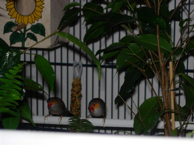 DSCN1685 (Small).JPG