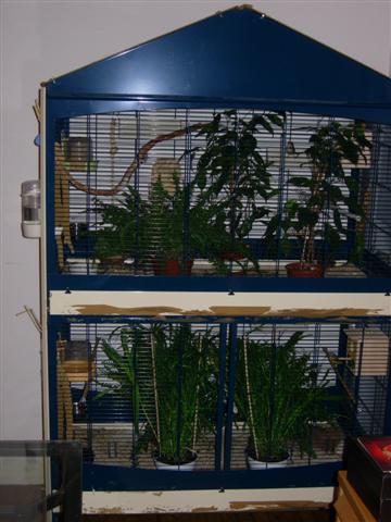 DSCN1696 (Small).JPG