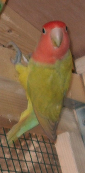 HPIM29703333.jpg
