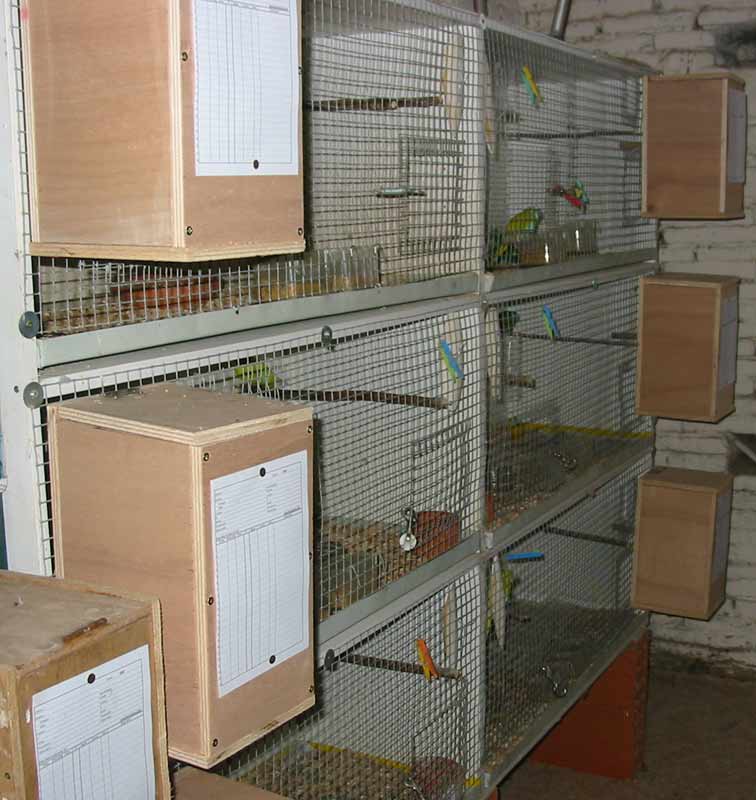 nids_2007-5.jpg