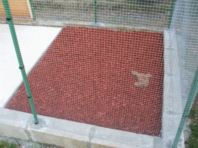 e2.JPG