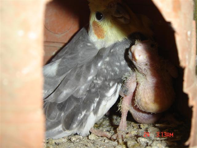 DSC01337 (Small).JPG