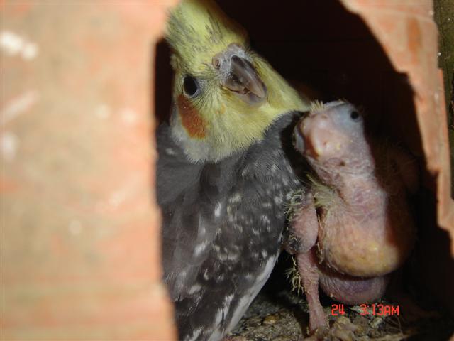 DSC01338 (Small).JPG