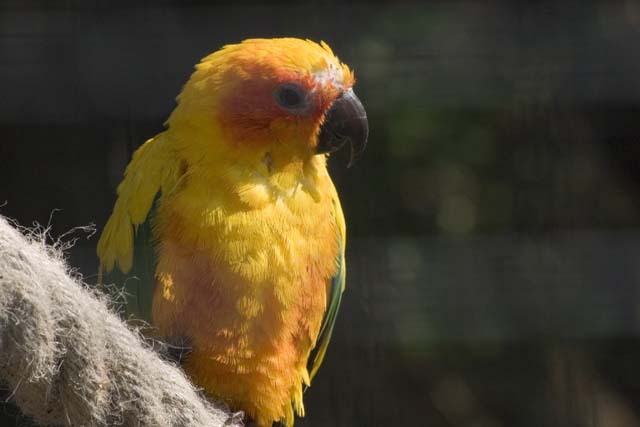 CRW_9833 copie.jpg