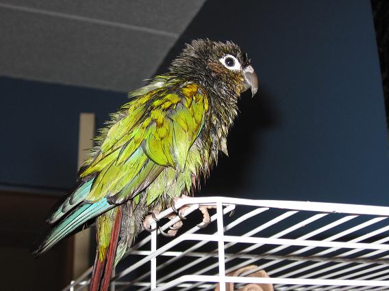 afterbath.JPG
