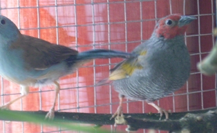 PICT0424.JPG