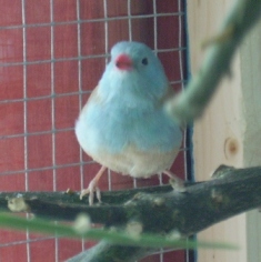 PICT0431.JPG