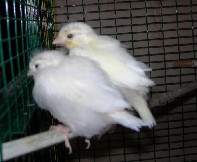 DSCN2057.jpg