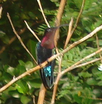 DSC04789.JPG